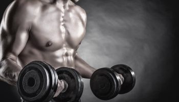 biceps training