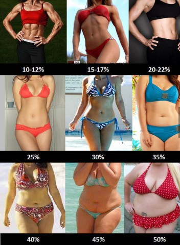 female body fat percentage