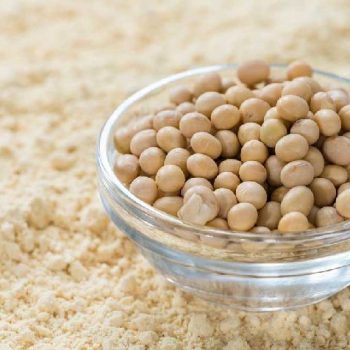 Soy-vs-Whey-Protein