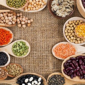 Vegan-Protein