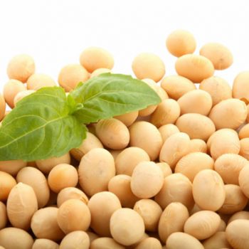 What-is-Soy-Protein